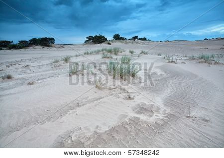 Grass On Sand Dunes Over Blue Sky
