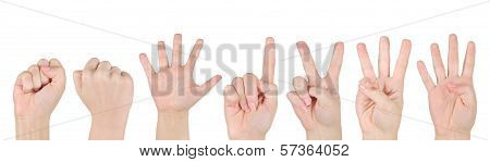 Isolated Collage Hands