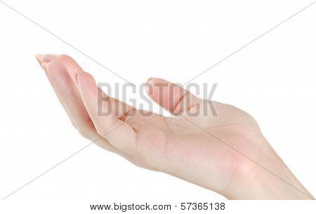 Isolated Open Hand