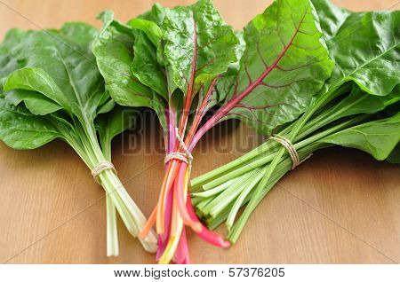 Colorful Swiss Chard