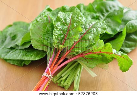 Colorful Swiss Chard