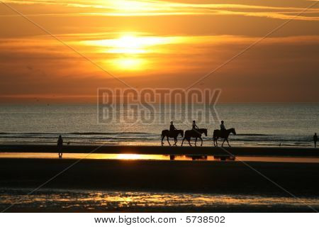 Ratsastusta Sunset