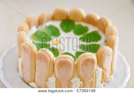 Lemon Cheesecake with Ladyfingers