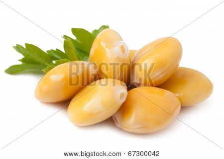 Lupines