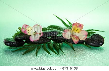 Flower of an alstroemeria and stones in drops