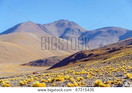 Bolivia, Antiplano, Los Lipez - landscape