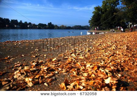 Roath Lake