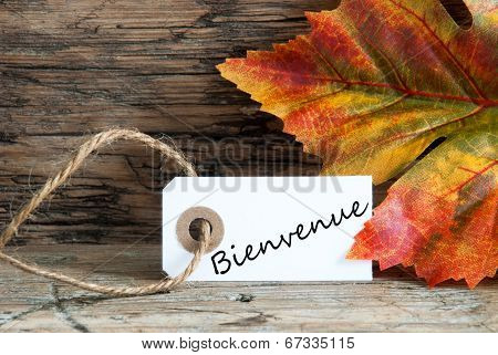 Bienvenue On A Fall Label