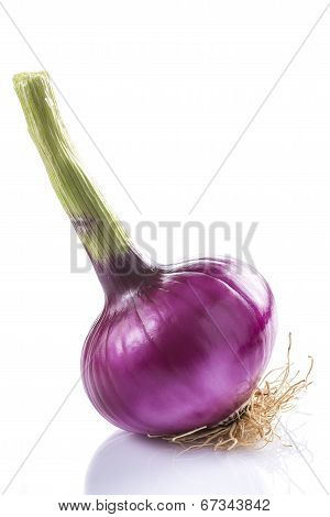 Red Onion Isolated On A White Background