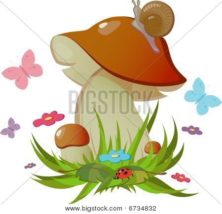 CEP izolované