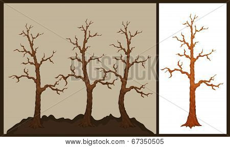 Vector illustration of dry tree