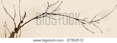 Plum blossom with line design