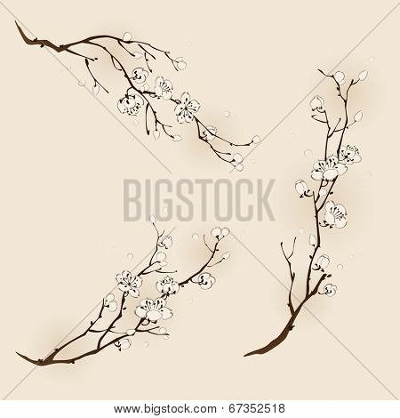 Plum blossom with line design in three different compositions