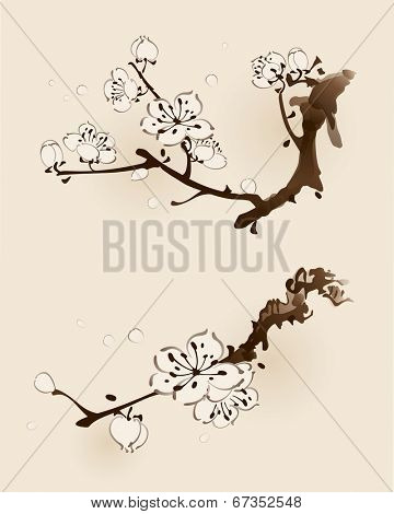 Plum blossom with line design in two different compositions