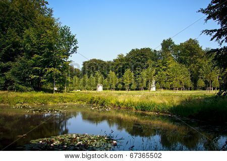 Pond In A Park