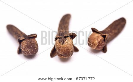 Cloves