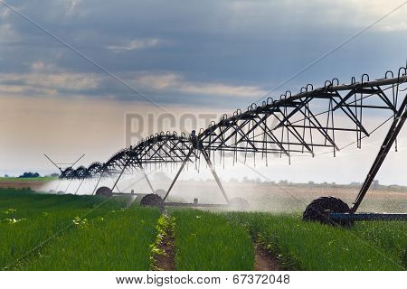 Irrigation Of Onion Field