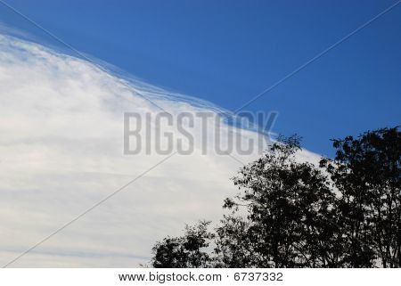 Blu skybehind alberi e nuvole in arrivo