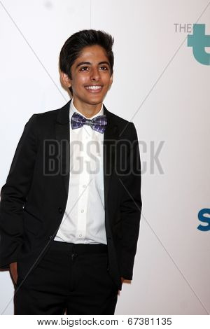 LOS ANGELES - JUN 24:  Karan Brar at the 5th Annual Thirst Gala at the Beverly Hilton Hotel on June 24, 2014 in Beverly Hills, CA