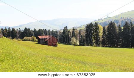Switzerland in the summer