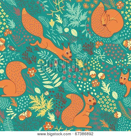 Squirrels in the woods