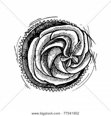 Hand Drawn Vector Illustration