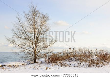 Snowy winter shore of lake Ontario in Sylvan park Toronto