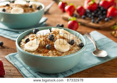 Homemade Healthy Steel Cut Oatmeal