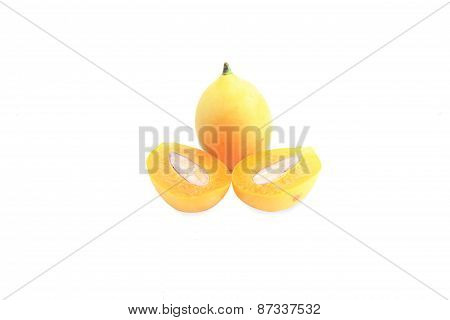 marian plum