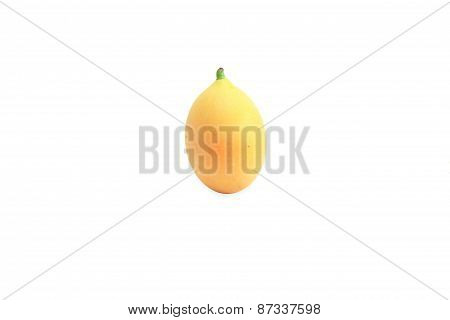 marian plum