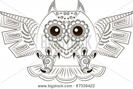 Funny angry owl