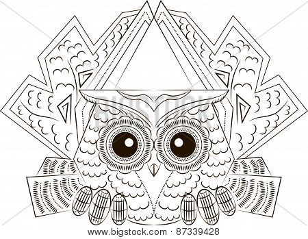 Funny scared owl