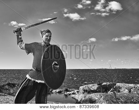 Viking Warrior