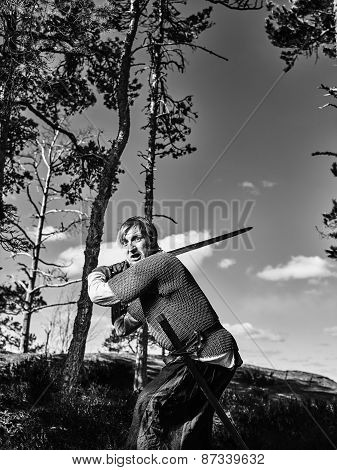 Viking Warrior