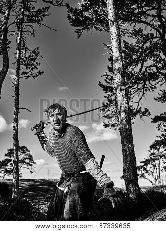 Viking Warrior