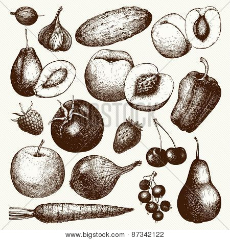 vegetables, fruits and berries sketch