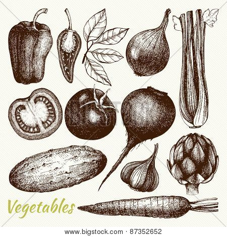 Vegetables -  Healthy food vector illustration.