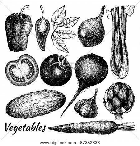 Healthy food vector illustration.