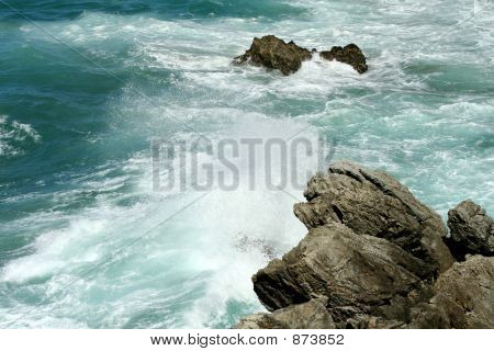 Roches et Ocean Spray