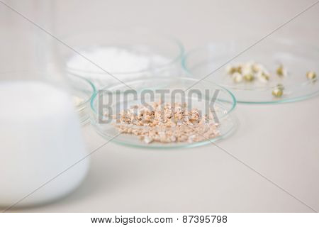 Seeds in petri dish in laboratory