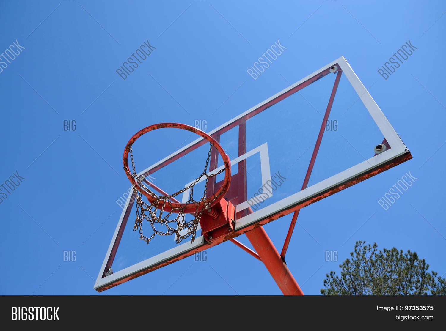 Basketball Hoop Tree Image & Photo (Free Trial) Bigstock
