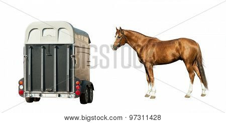 Horse And Horse-transport Isolated On White
