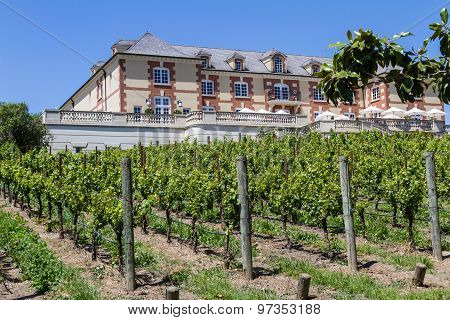 Domaine Carneros