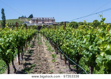 Domaine Carneros
