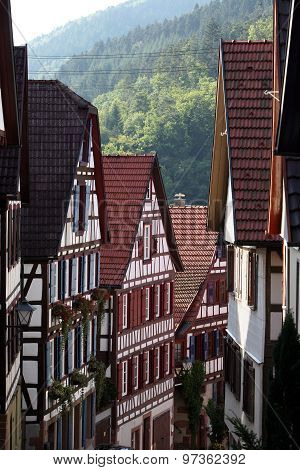 EUROPE GERMANY BLACK FOREST
