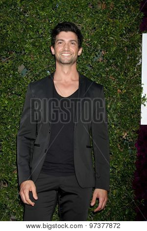 Gavin O'ConnorLOS ANGELES - JUL 29:  David Alpay at the Hallmark 2015 TCA Summer Press Tour Party at the Private Residence on July 29, 2015 in Beverly Hills, CA