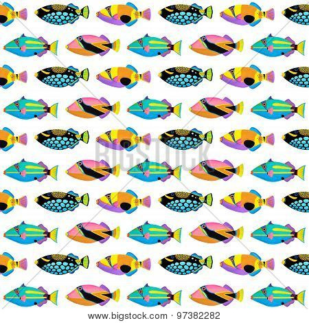 Clown Triggerfish Pattern