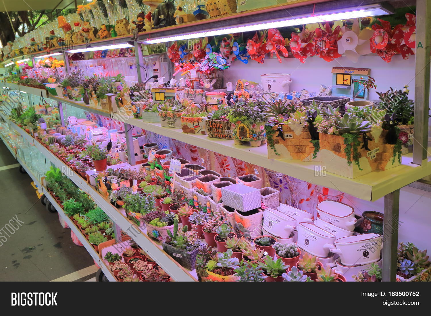 TAIPEI TAIWAN Image & Photo (Free Trial) Bigstock