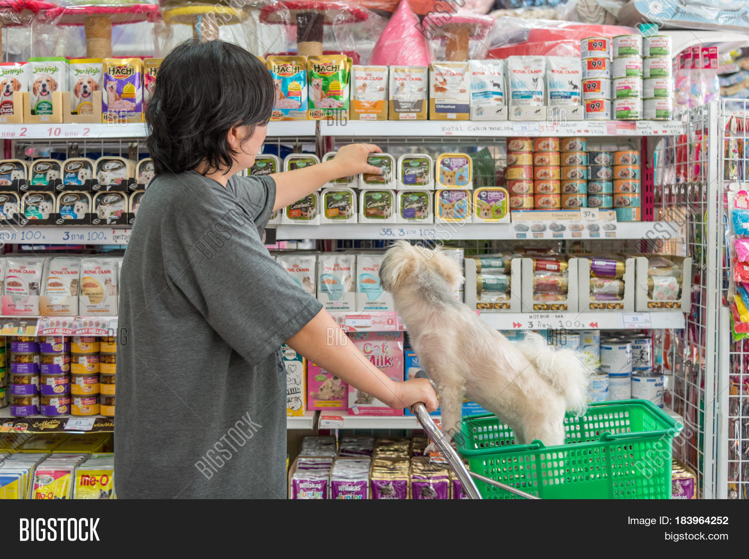 Women Her Dog Shop Pet Image & Photo (Free Trial) Bigstock