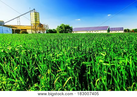 Modern farm with solar panels on a roof